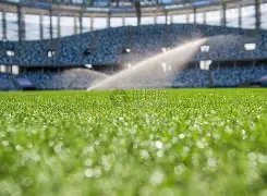 金年会,资讯,金年会官网,金年会官网,金年会平台,金年会体育,金年会APP