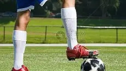 金年会 产品 071202 948