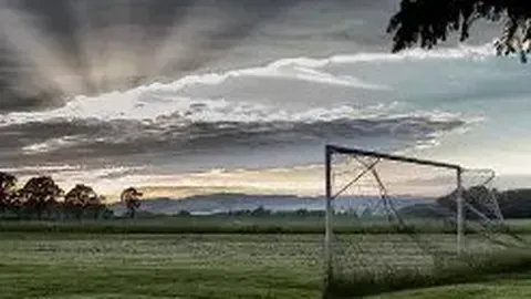 金年会 资讯 131944 y0h